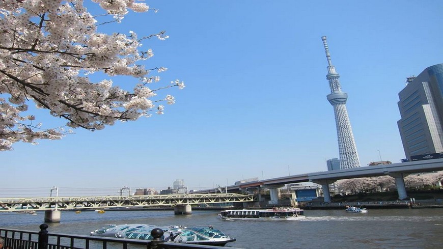 日本首都不是東京? 哪些國家首都容易搞錯