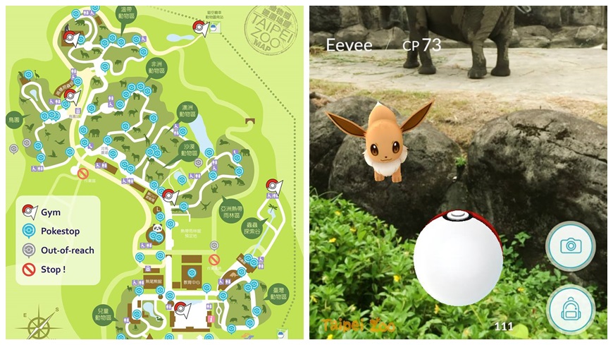 台北市立動物園特製一份「寶可夢地圖」，標記園區內6座道場、69個補給站的詳細位置，讓網友大讚「也太有心了吧！」