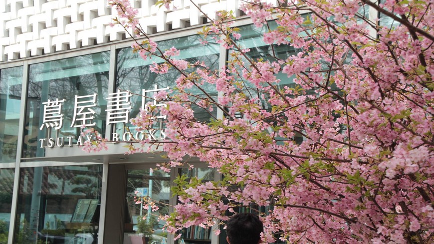 有日本最美書店封號的「蔦屋書店」（TSUTAYA），是不少台灣民眾前往日本必訪的景點之一，如今蔦屋書店在104公開徵才，最快將在明年進駐台北信義區，和誠品書局互別苗頭。