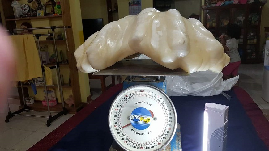 「巨無霸珍珠」重達34公斤。圖／截取自Aileen Cynthia Maggay-Amurao臉書
