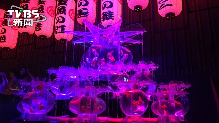 日本橋舉辦的「ART AQUARIUM 水夢金魚」展覽，是不少遊客、日本民眾不可錯過的特展。