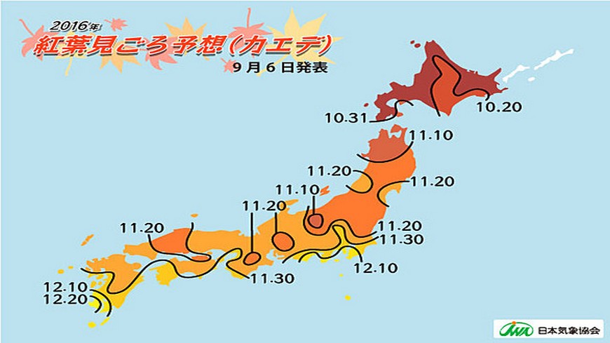 日本氣象廳也提早公布了賞楓的資訊，最快10月下旬就可以看到滿滿楓紅，另外像是京都、奈良、名古屋的楓紅時間都比往年還要早，計畫出國賞楓的遊客可要把握時間。