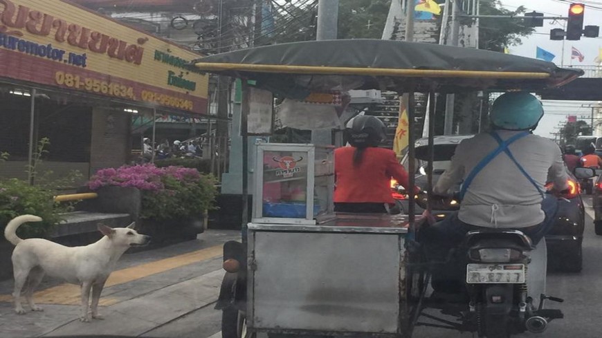 泰國一名網友近日上傳一段溫馨影片，表示在等紅燈同時，看見前方的小吃攤餐車老闆製作熱狗煎餅給一旁的狗狗吃，讓不少網友大讚社會美好角落。