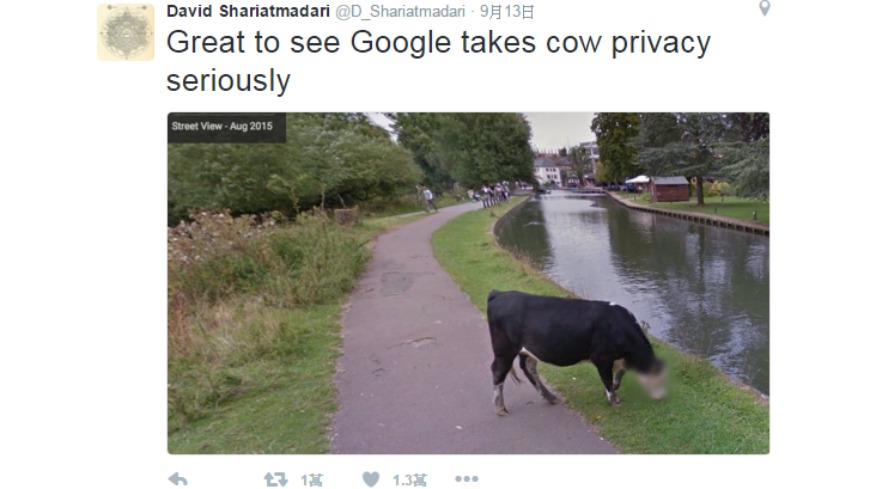 英國《衛報》的編輯夏里亞馬達里（David Shariatmadari）透過Google地圖上的街景服務，發現英國劍橋郡的柯耶沼澤區（Coe Fen）旁的牛隻臉部竟然被馬賽克，PO網分享後，引發網友瘋