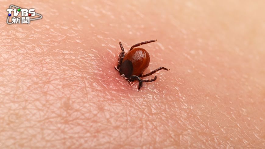 萊姆病是一種人畜共通傳染病，藉由被感染的蜱（俗稱壁蝨）叮咬而傳播。