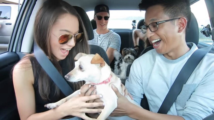 美國一名Uber司機從收容中心借來3隻小狗，展開一場「毛小孩Uber之旅」，讓不少搭車旅客驚呼連連，有愛狗乘客抱起狗狗玩親親，甚至捨不得下車，更開心的是有狗狗因此被乘客認養，讓不少網友大讚他是暖心司機