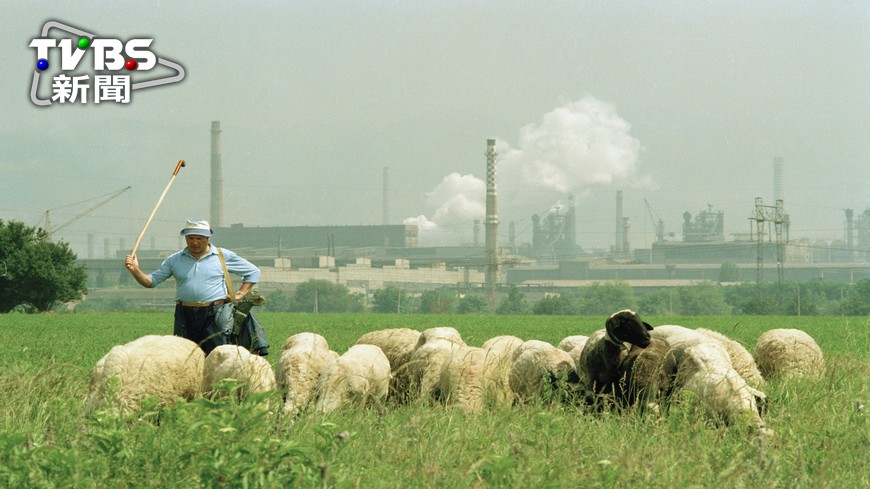 中國大陸江蘇省1名牧羊人因發現自己在山上放養的羊遭竊而報警，結果警方用小羊羔「喝奶認親」機智破案。