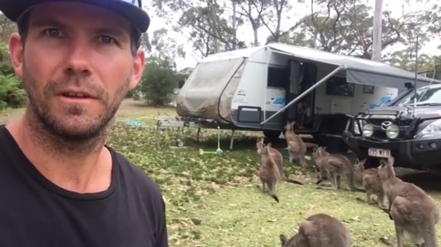 澳洲這家人在新南威爾士州露營時，遇上一隻袋鼠闖進他們的露營車，沒想到3天過後，還發現有八隻袋鼠竟然排隊集結在露營車門外，看起來像是在等著放飯、入內參觀露營車。