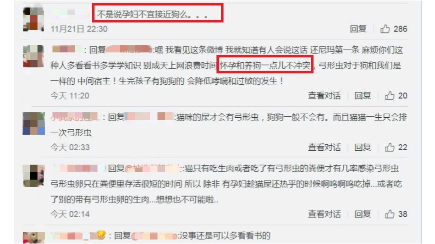粉絲為了孕婦能否與毛小孩同床的議題掀戰火。(圖翻攝/爾文賴微博)