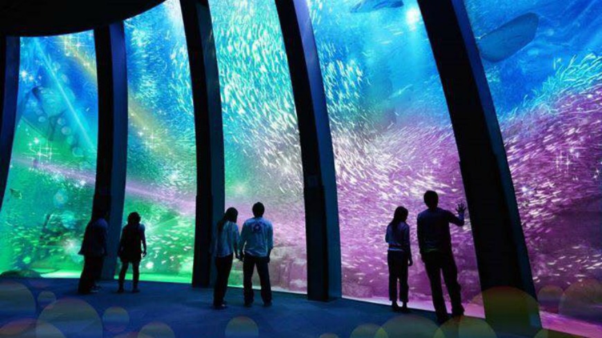 日本擁有最大水族館的「橫濱八景島」宣布要登台，地點就在高鐵桃園站附近，預計2020年1月開幕，將成為桃園的新景點。