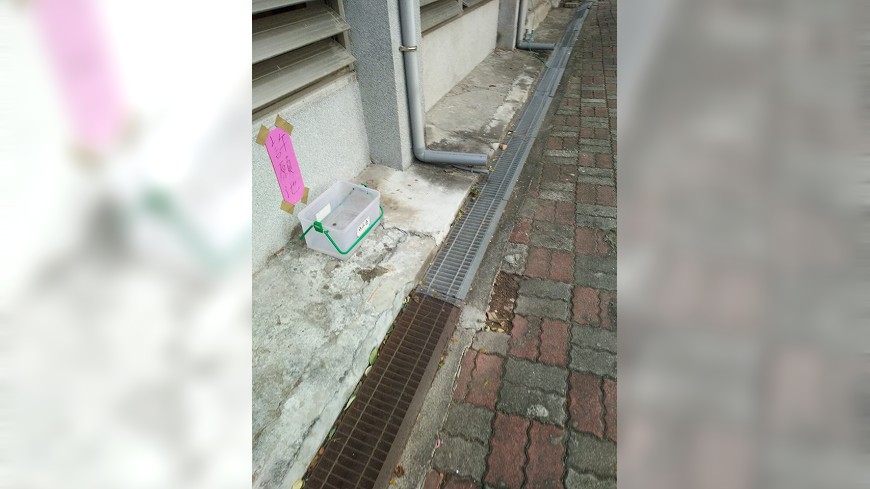 國立台南一中校園內被拍下2起校內活春宮秀，有網友惡搞將事發地點放上塑膠盒，一旁寫著許願池，讓網友笑翻。