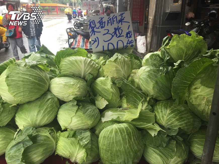 高麗菜價慘跌 一箱300全台宅配免運費