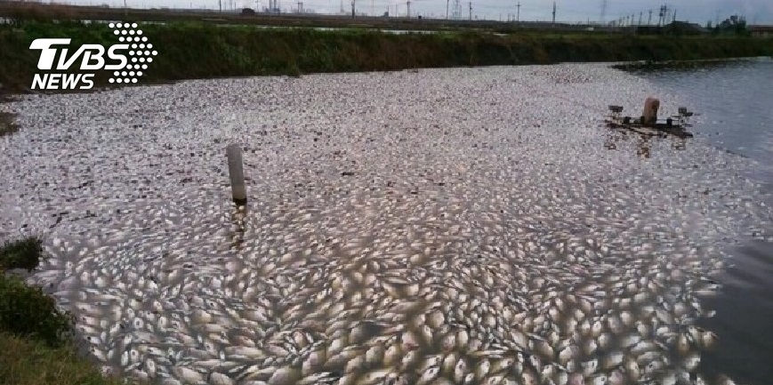 連續降雨影響魚塭水質　 籲漁民防範