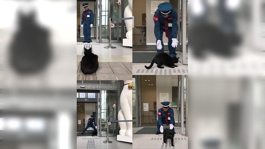 日本尾道市立美術館的門前出現一隻黑貓與警衛相互對峙。(圖／轉自推特)