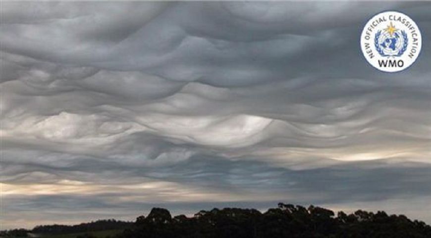 波浪狀糙面雲(asperitas cloud)。圖片來源／國際雲圖集網站