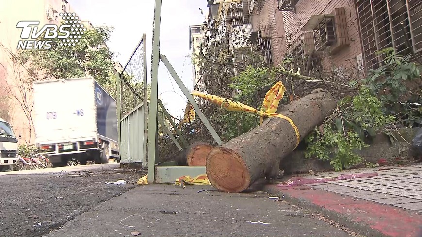 綠蔭變光禿 民生社區都更居民批 亂砍樹 綠蔭街景 保護條例 Tvbs新聞網