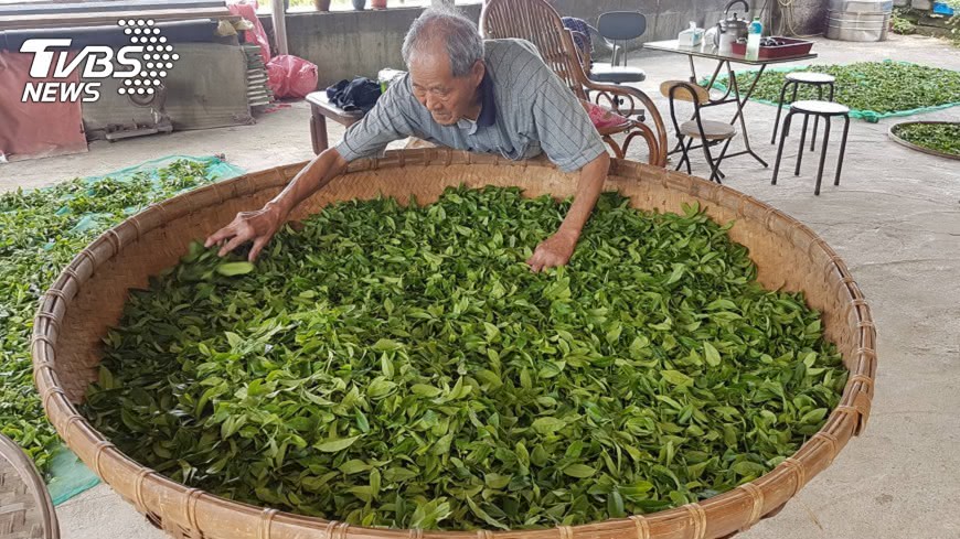 用台灣茶做燒肉飯、調酒?東方美人茶6大新吃法