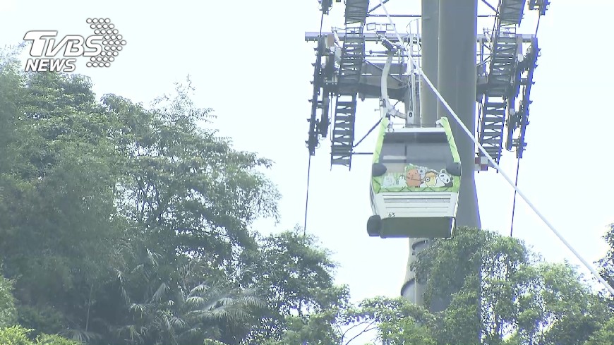 快訊／台北捷運公車全線正常　貓空纜車暫停服務