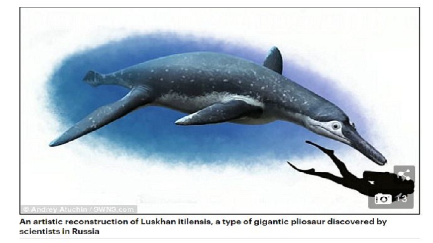 科學家們日前發現一種外型看似海豚又像鱷魚的生物物種，牠被稱為是「Luskhan itilensis」。(圖／翻攝自每日郵報)