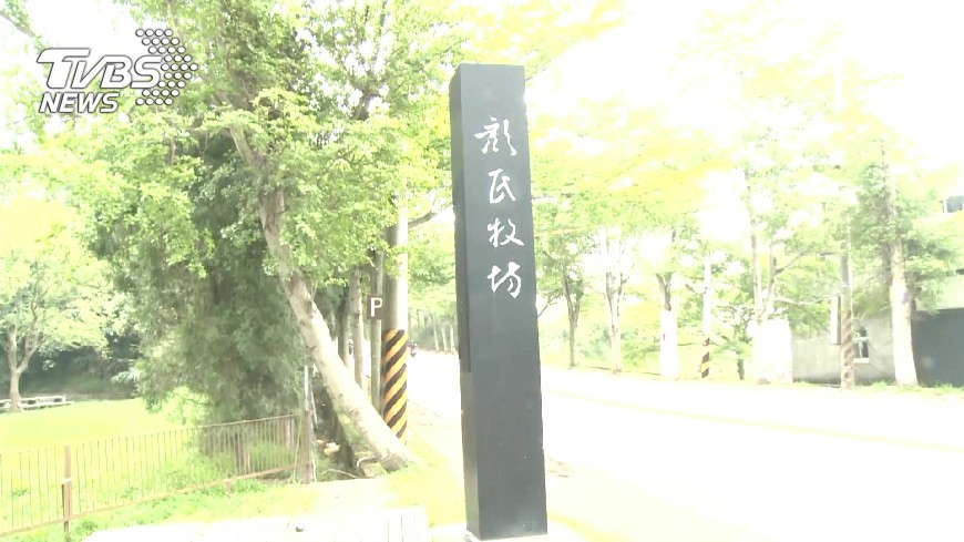 林飛帆辦婚禮 反年金路過不鬧場
