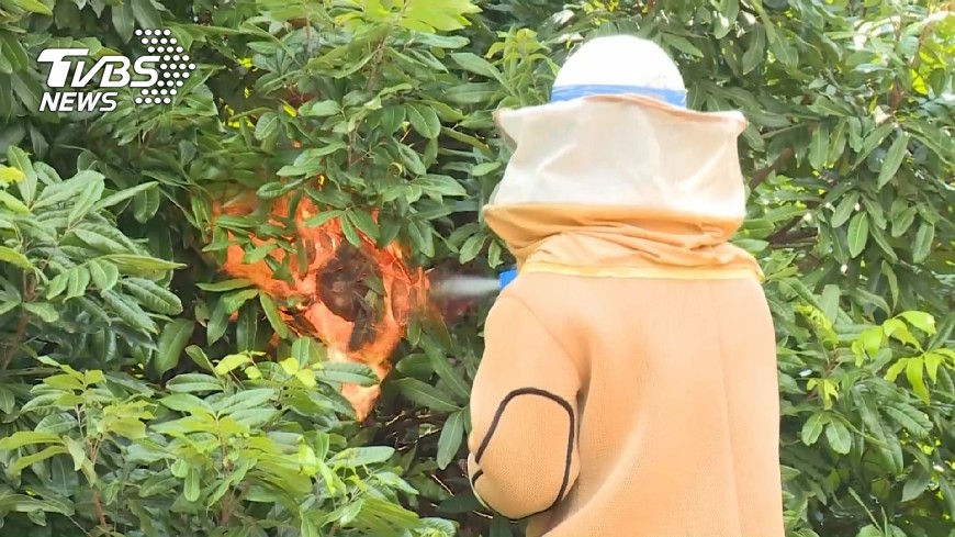 捕蜂捉蛇回歸農政 葉俊榮盼2年內達成