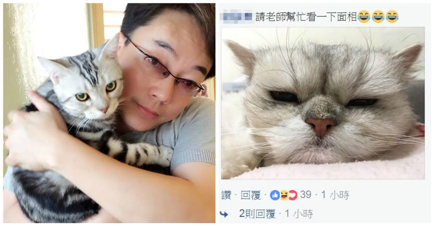 圖／詹惟中臉書、貓咪也瘋狂俱樂部粉絲專頁