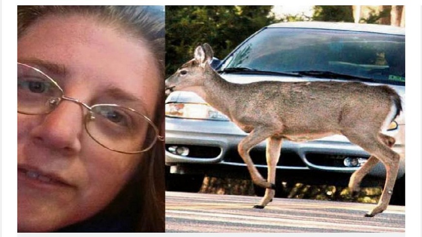 俄亥俄州一名婦人坐在副駕駛座由丈夫開車行駛高速公路上時，突然一頭鹿飛來撞上慘死。(圖／翻攝自Daily Record)