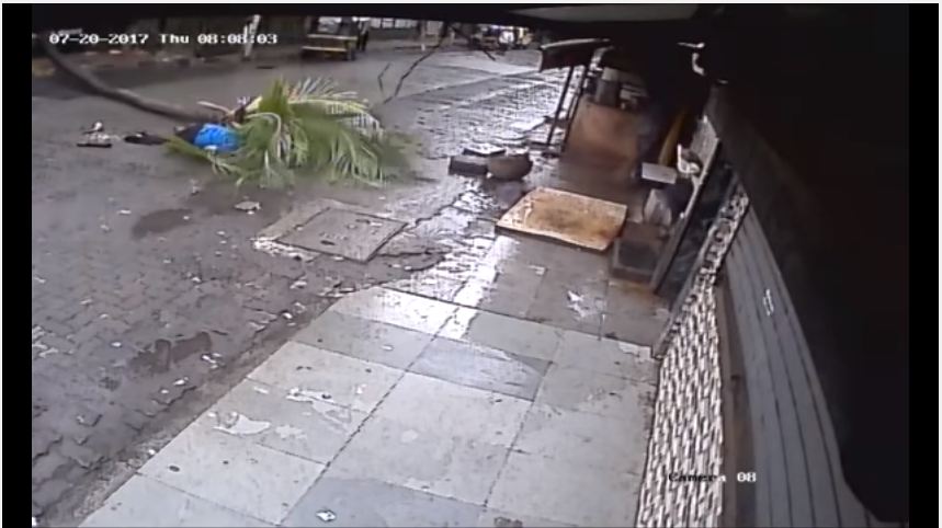 印度一名女主播走在路上，竟遭突然斷裂的椰子樹當場砸死。(圖／翻攝自YouTube)