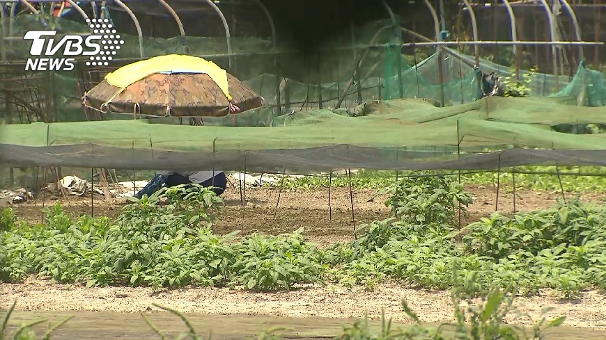 綠委推農民職災保險 農委會:進行規畫