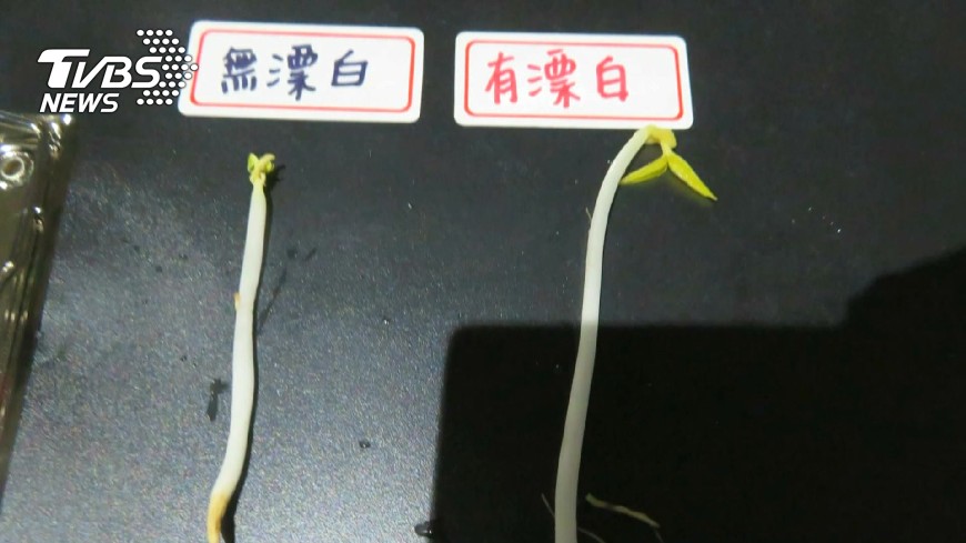 示意圖／TVBS資料畫面