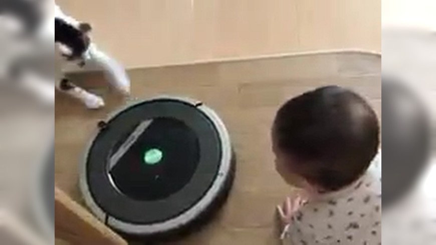 喵喵倫巴為保護小主人，竟攻擊掃地機器人。圖／Twitter@coziki