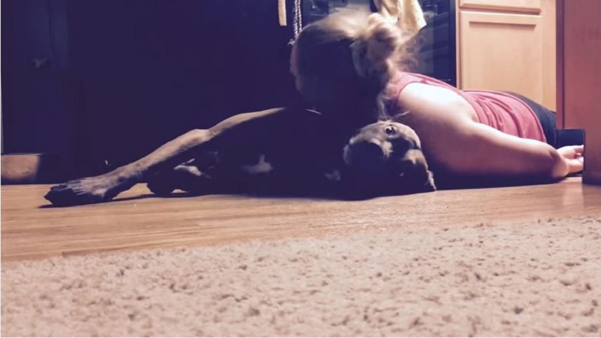 珍耶飼養的愛犬柯特，每當看到主人癲癇發作時，就會用自己的身軀來保護她。(圖／翻攝自YouTube)