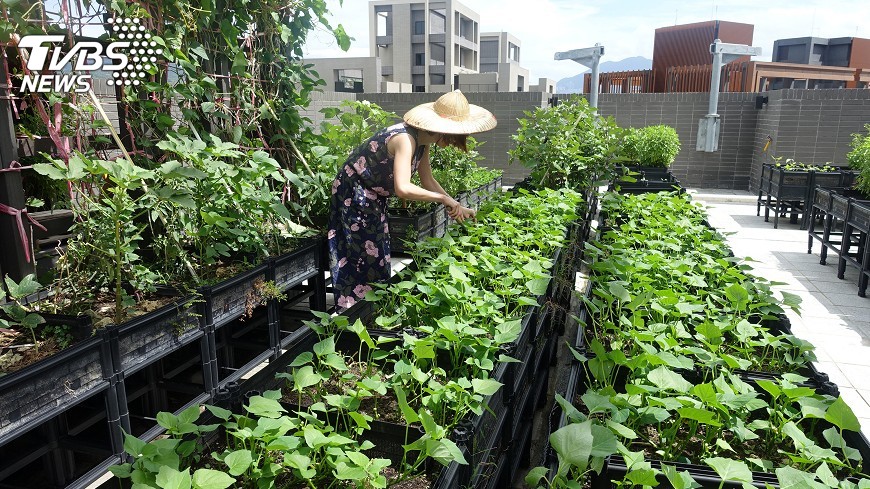 台達電參與聯合國氣候會議　聚焦綠建築