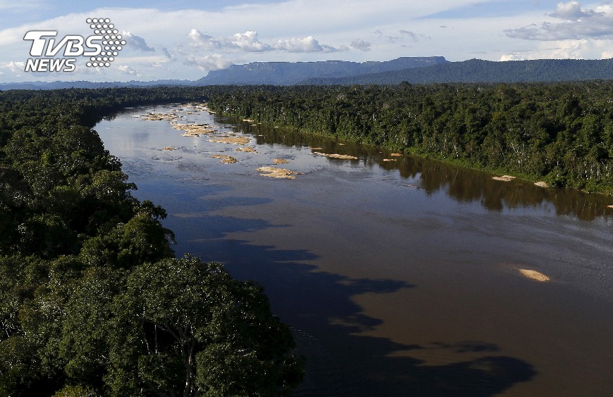 亞馬遜雨林，示意圖／達志影像路透社