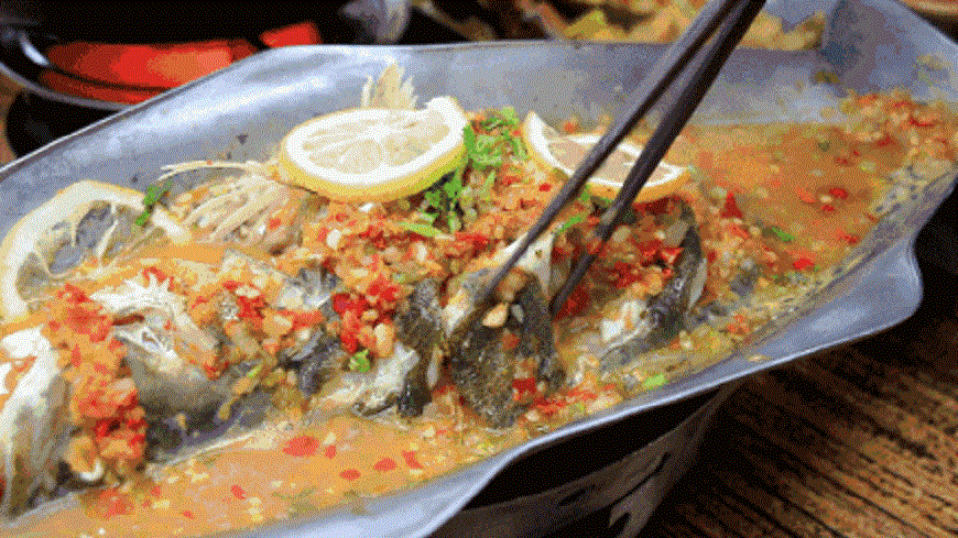 廣東黃姓一家六口吃了海鰻魚導致「雪卡毒素中毒」，這毒素比河豚還強100倍。(圖／翻攝至廣州日報微博，圖非海鰻魚)