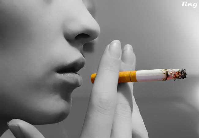 防COPD害命　菸害防治成日國會大選議題