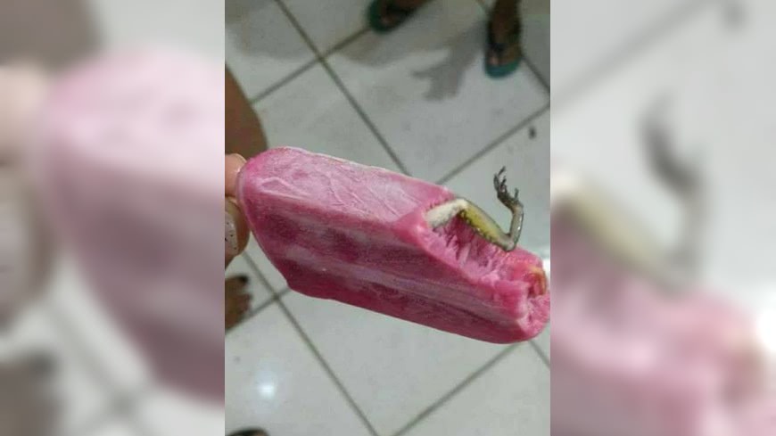 有網友分享咬了一口的冰棒內，竟然藏了一隻完整的青蛙腿，當場嚇傻。(圖／翻攝自爆廢公社)
