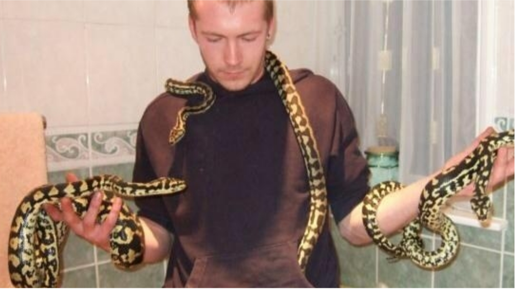 圖／太陽報  英國男子窒息死亡　 兇手竟是自己養的寵物蟒蛇