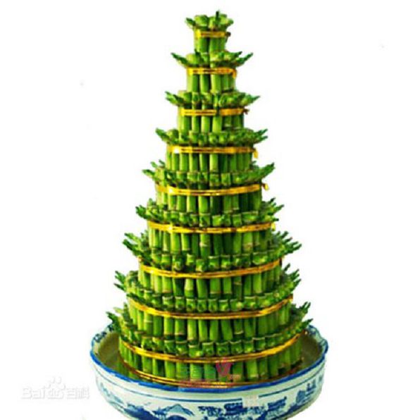 圖/翻攝百度