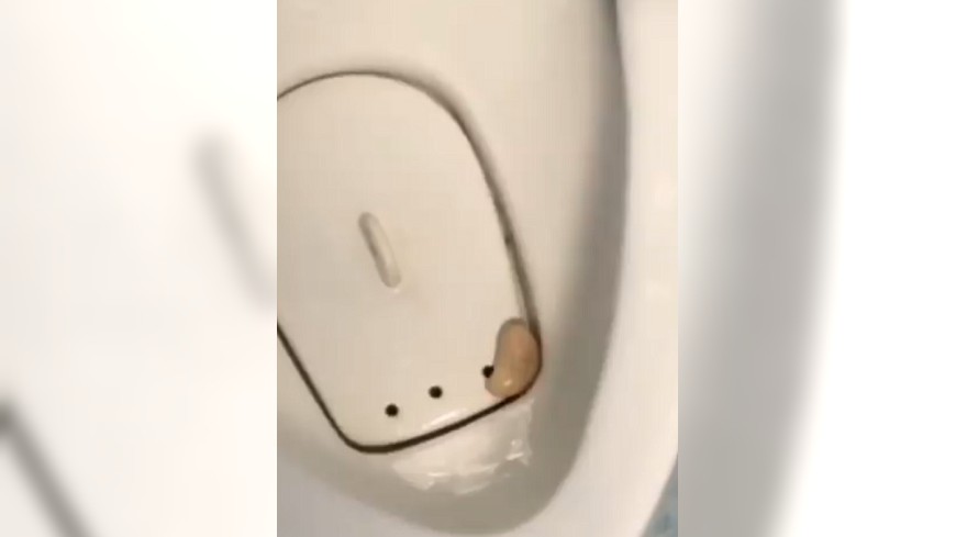 圖/爆廢公社