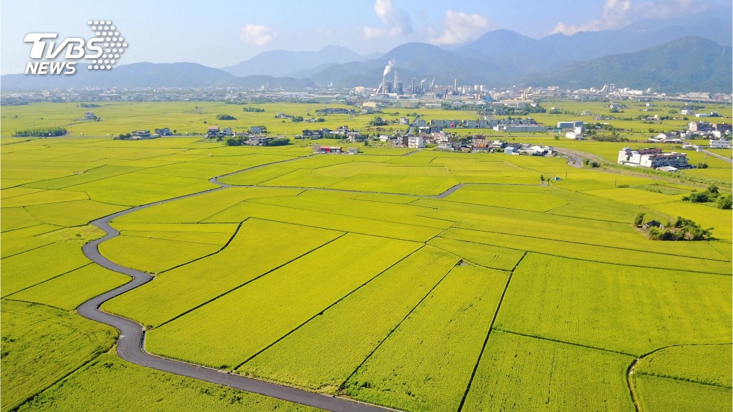 圖/shutterstock提供