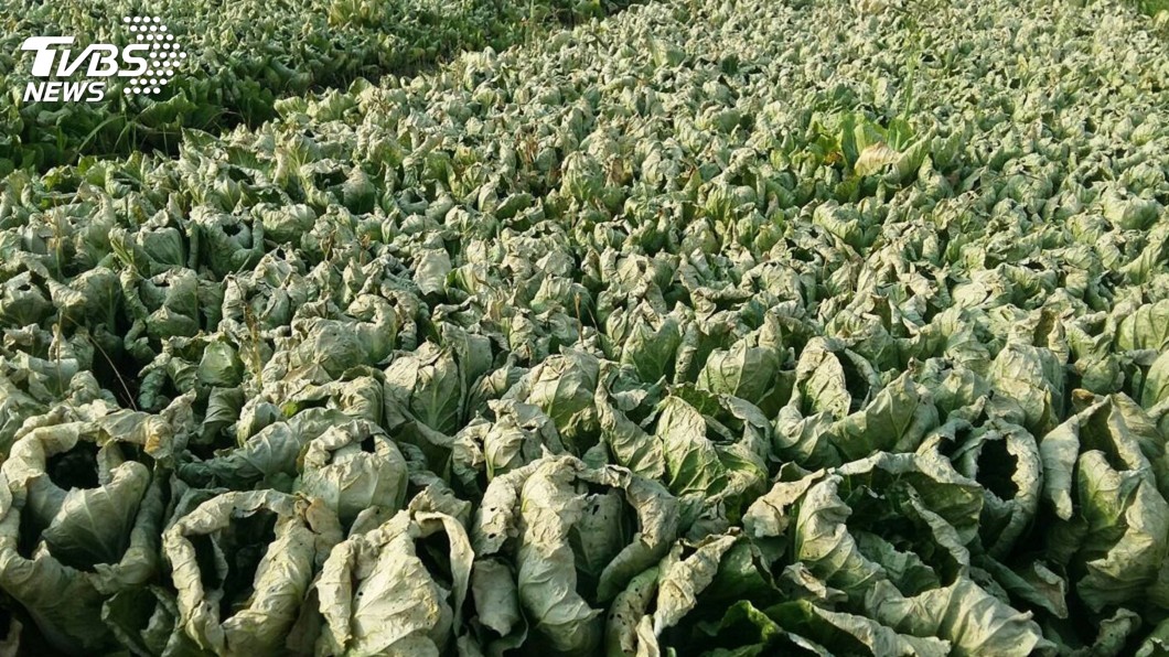 為加入CPTPP做準備 立院三讀農業配套修法