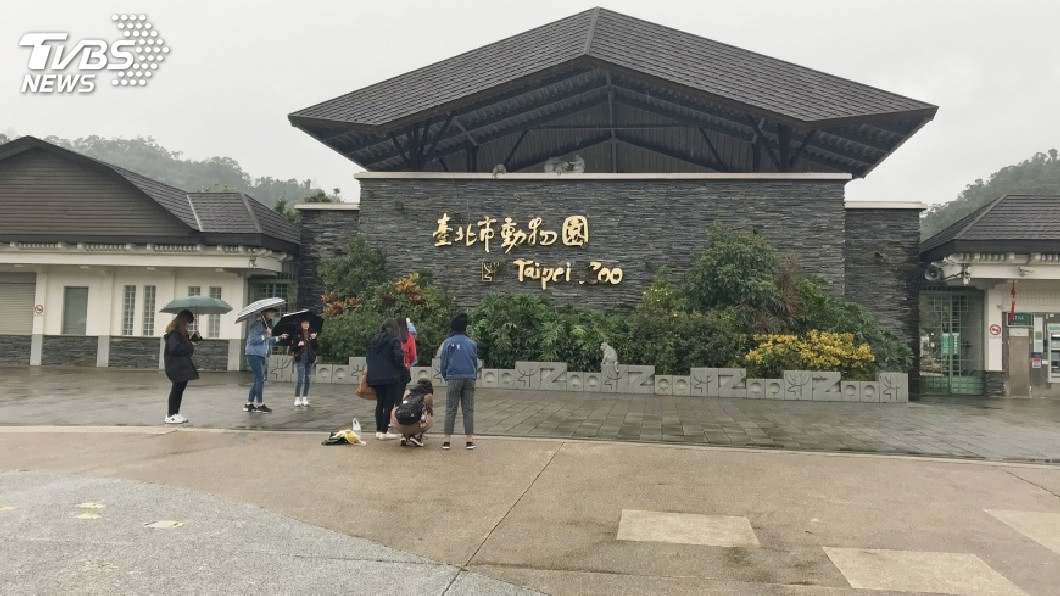 快訊/候補也沒了! 天文館、動物園暑期營隊「秒殺」