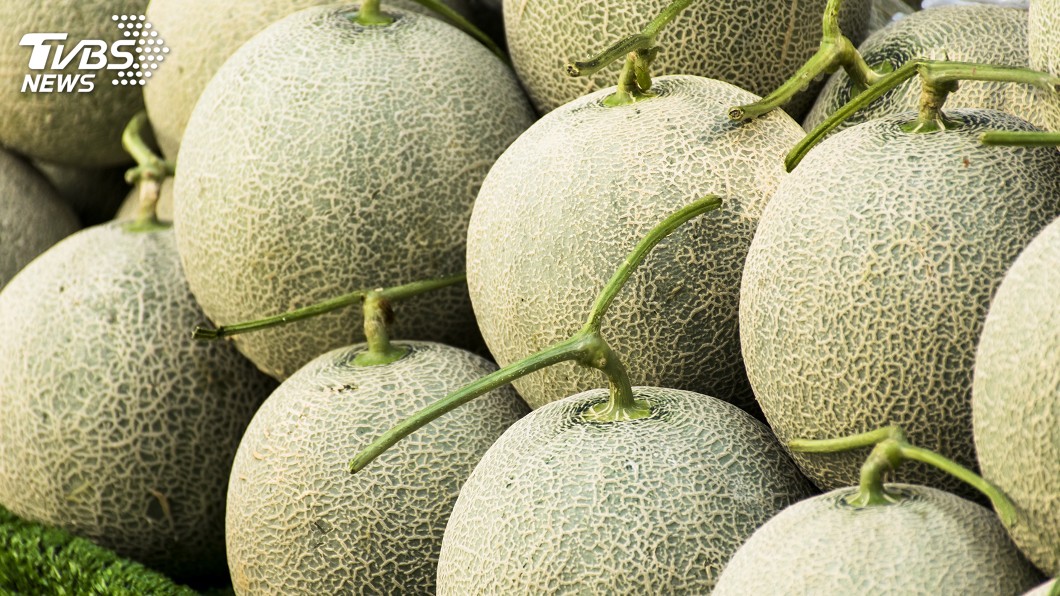 瓜農怕雨、梨農盼雨 一場雨水兩樣情