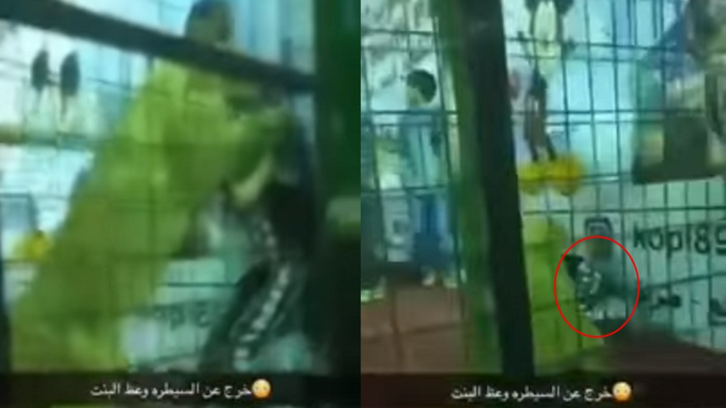 圖／翻攝YouTube  Mohamed Elnady 。下同 驚悚！娛樂玩耍與獅子同籠　女童慘遭飛撲狠咬