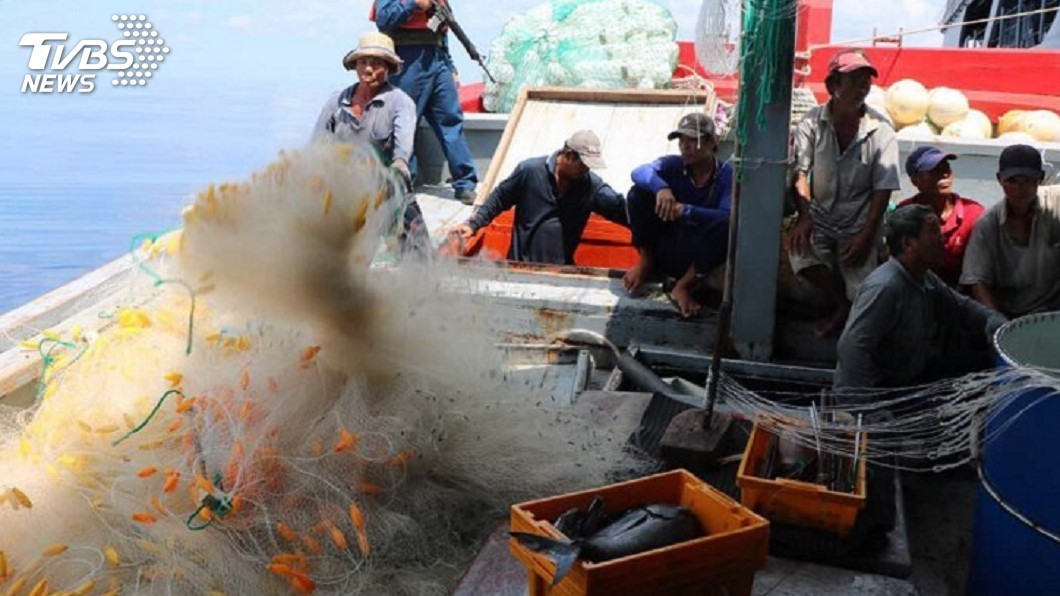 圖／中央社 歐盟對台遠洋漁業黃牌解否？　農委會：將揭曉