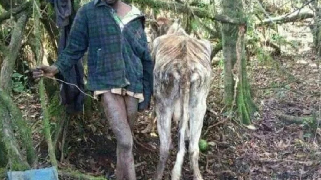 肯亞一名25歲男子被當地村民發現，在鄉野間性侵母牛，事後稱喜歡母牛是因為「女生都患有愛滋病」。