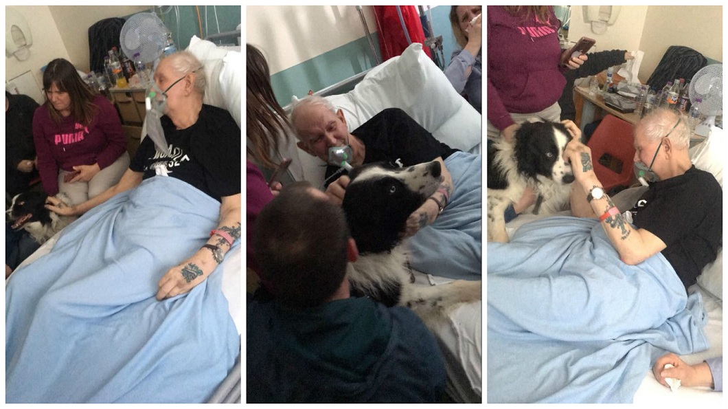 70歲的病翁在病房內見到愛犬最後一面，沒多久就安詳離世。(圖／翻攝自臉書)