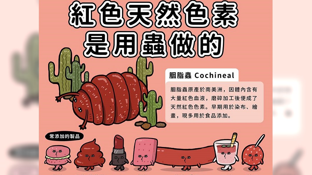 圖／擷取自《10 Seconds Class-10秒鐘教室》臉書