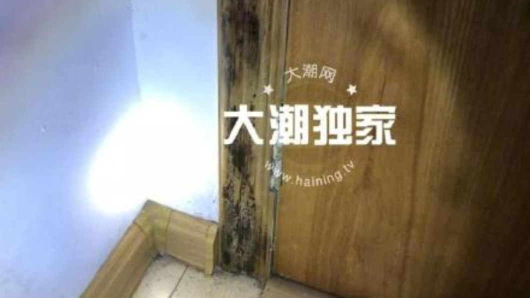 張女原以為黑點只是潮濕發霉。圖/翻攝自大陸錢江晚報